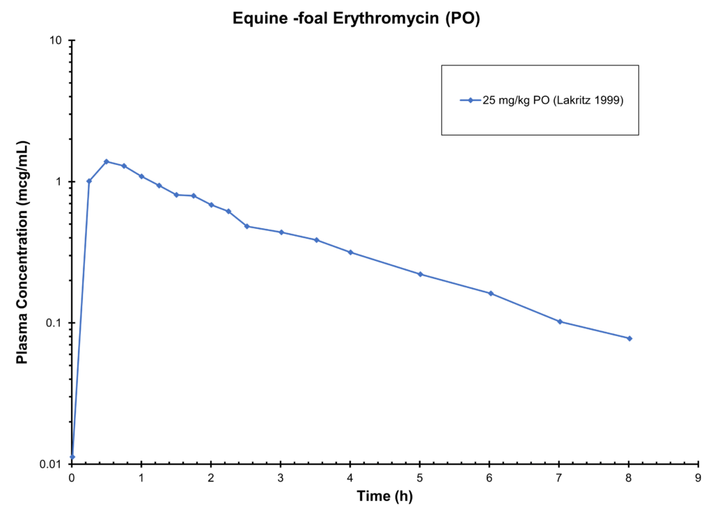 Equine Foal Erythromycin