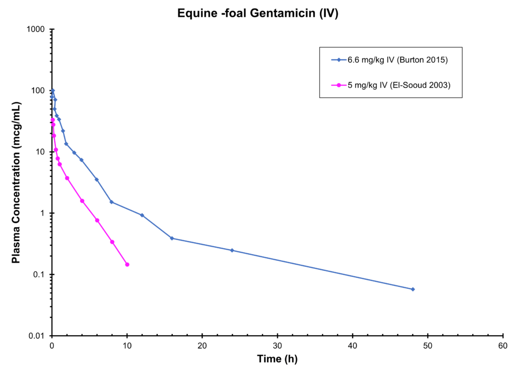 Equine - foal Gentamicin (IV)