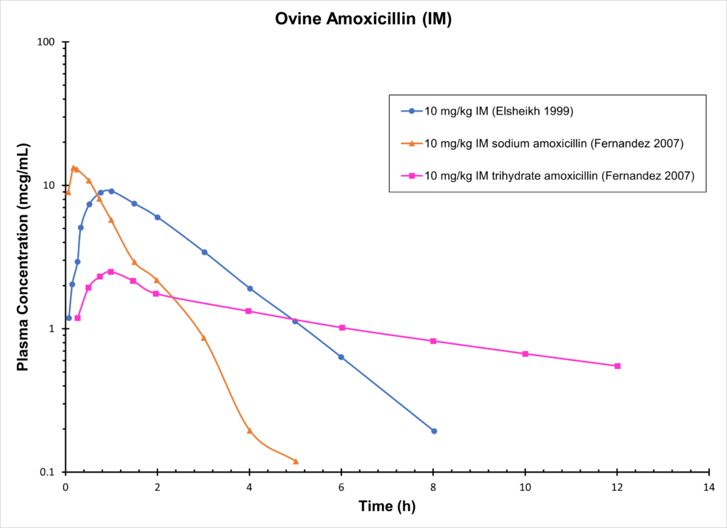 Ovine Amoxicillin