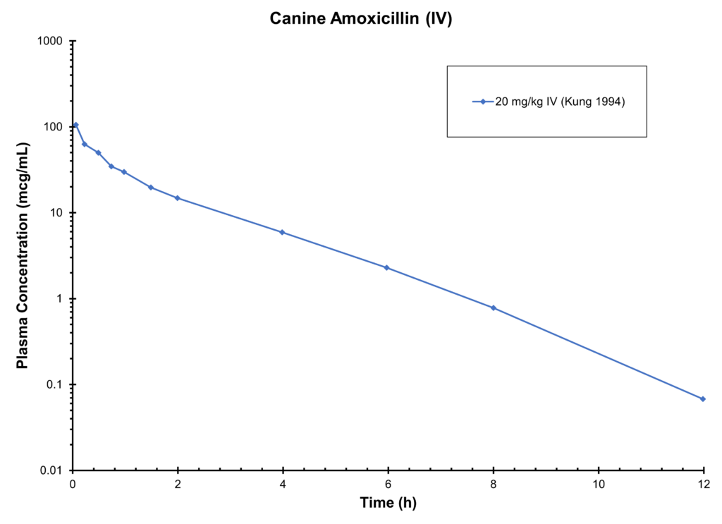 DOG AMOXICILLIN (IV) -  Plasma Concentration