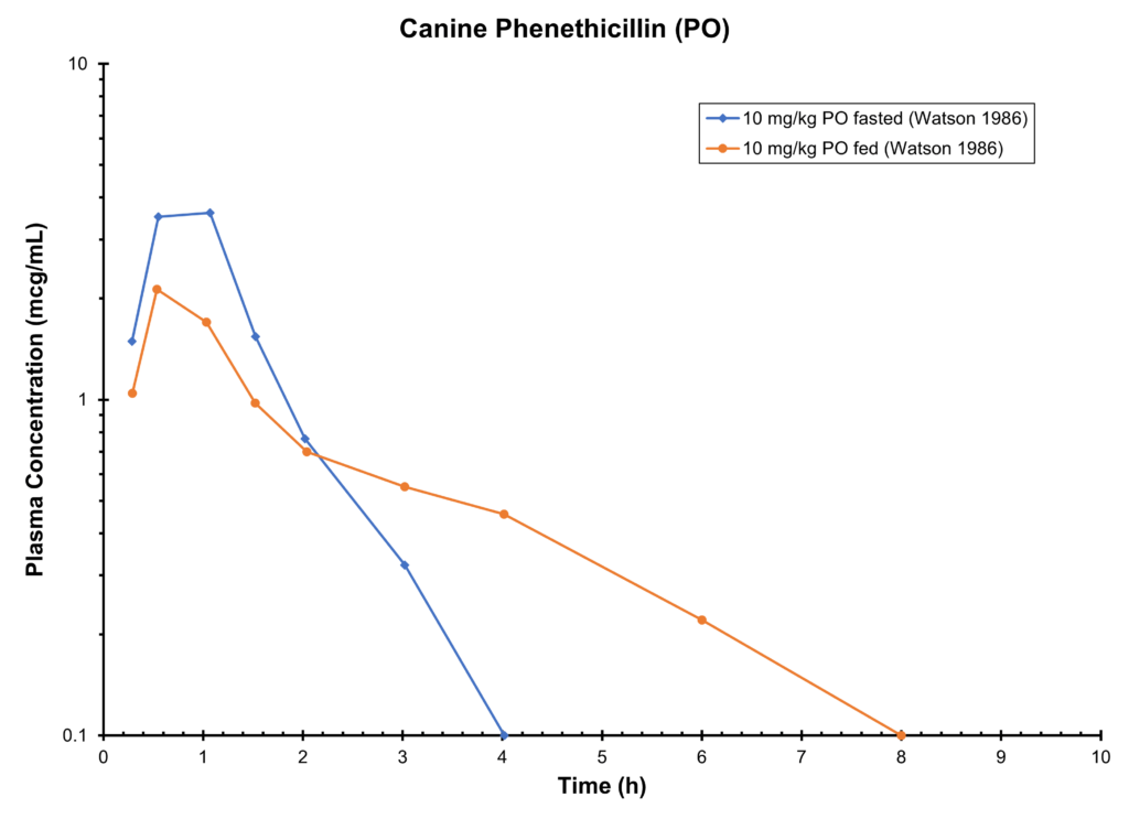 Canine Phenethicillin
