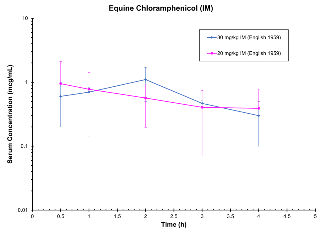 Equine Chloramphenicol