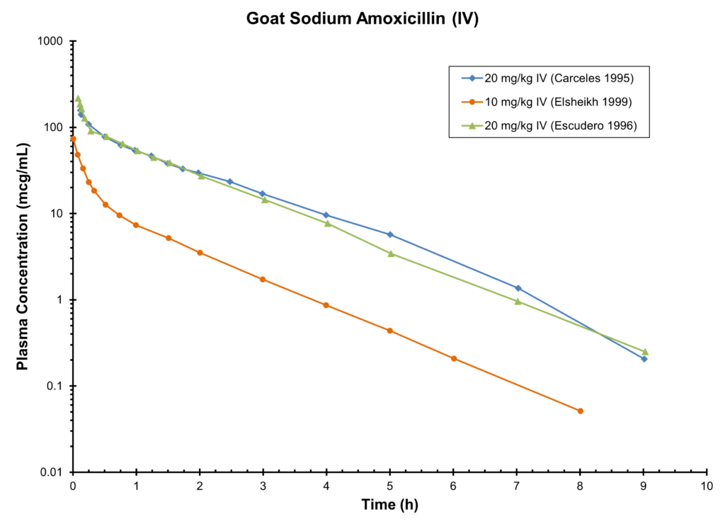 GOAT  SODIUM AMOXICILLIN (IV) - Plasma Concentration