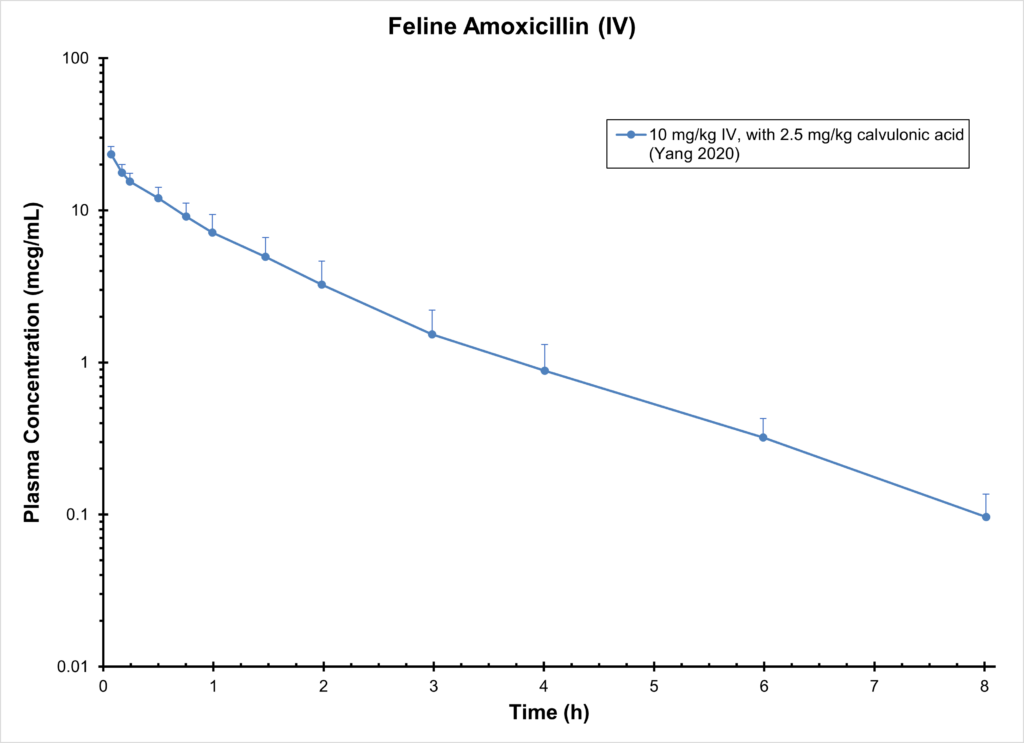 Feline Amoxicillin (IV)
