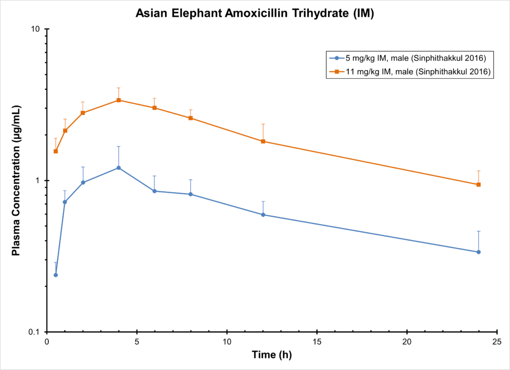 ASIAN ELEPHANT AMOXICILLIN (IM)