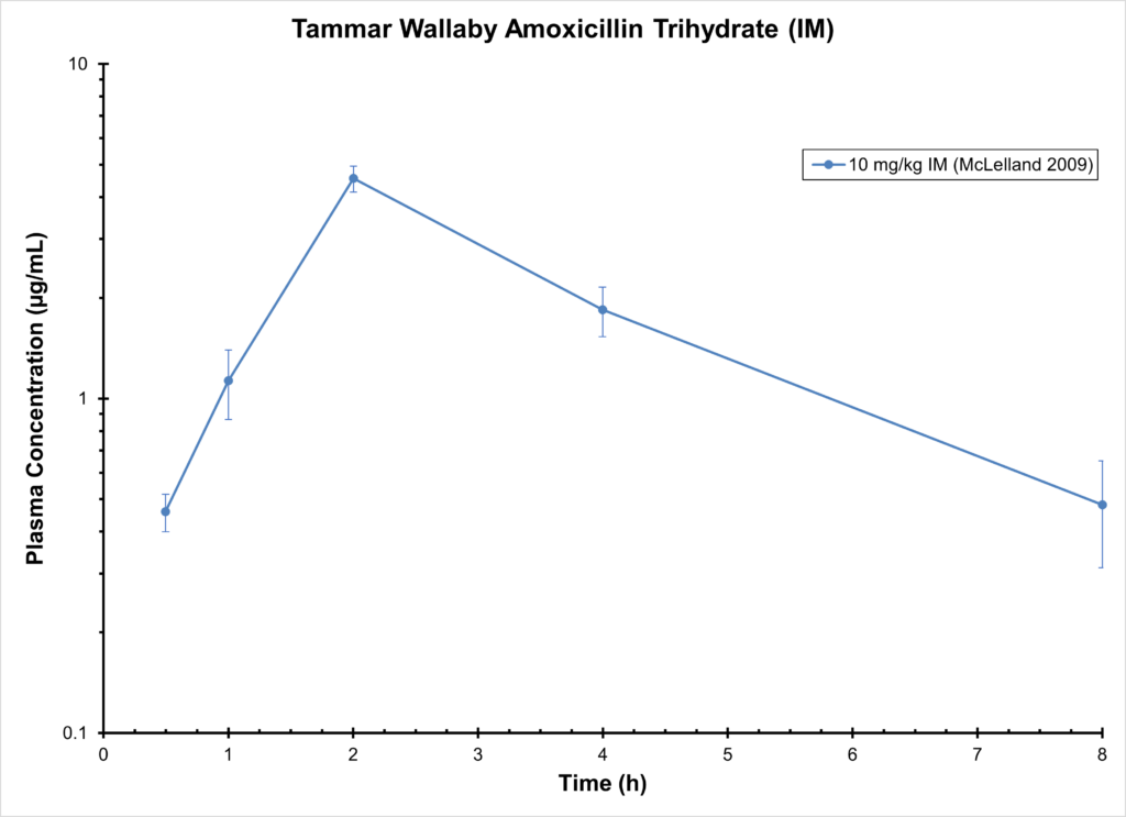 Wallaby Amoxicillin (im) - Antimicrobials