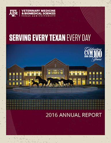 CVM 2016 Annual Report