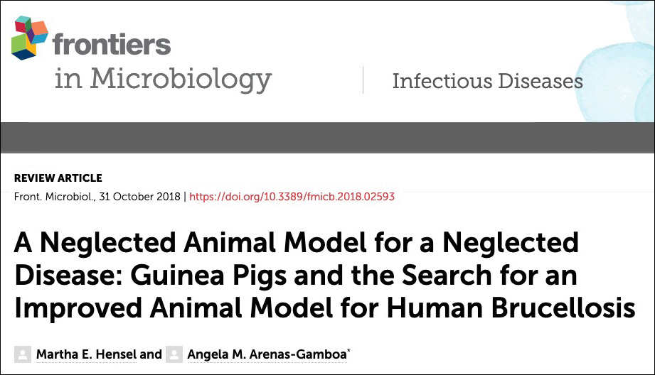 A Neglected Animal Model