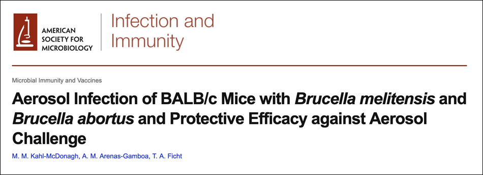 Aerosol infection of BALB/c mice