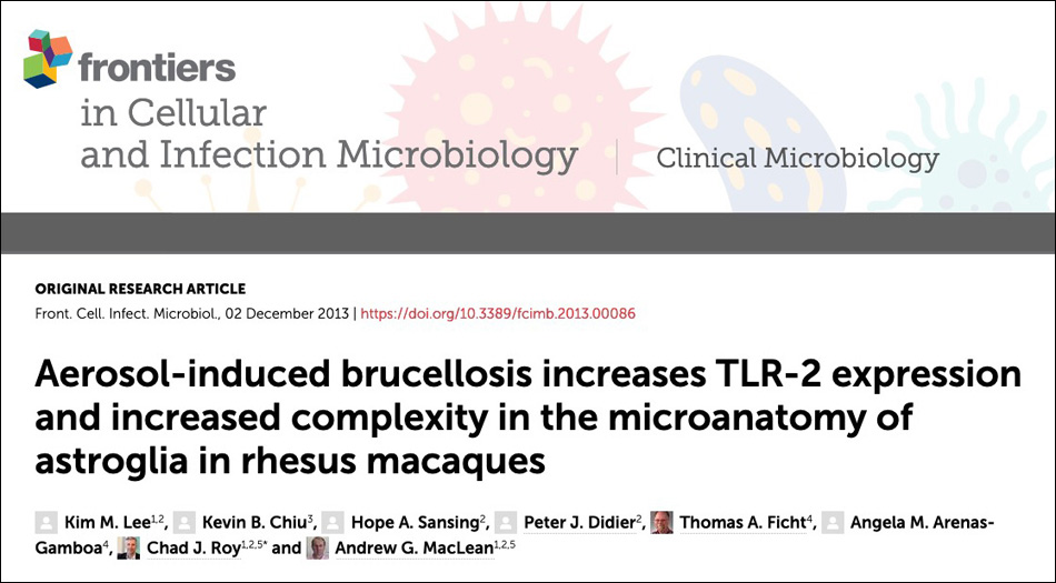 Aerosol-induced brucellosis increases TLR-2 expression
