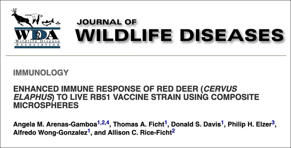 Enhanced immune response of red deer