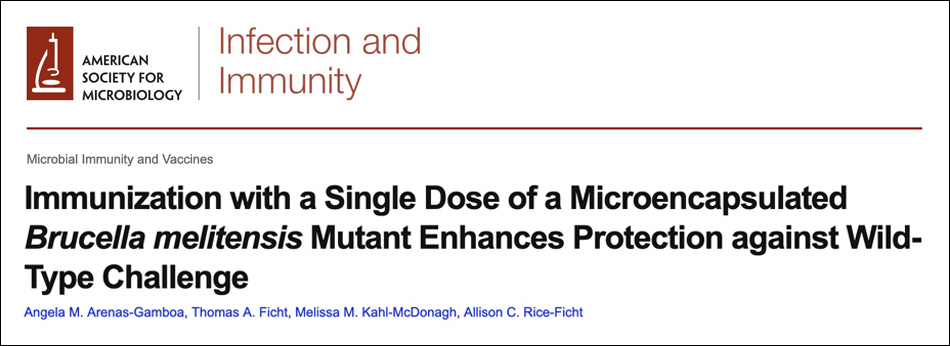 Immunization with a single dose of a microencapsulated Brucella melitensis mutant