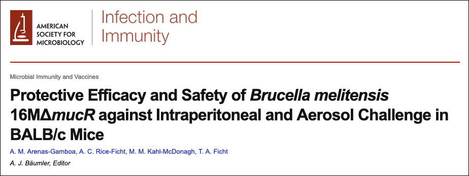Protective efficacy and safety of Brucella melitensis 16MΔmucR
