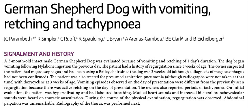German Shepherd Dog with vomiting, retching and tachypnoea