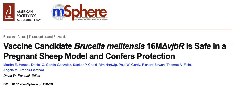 Vaccine Candidate Brucella melitensis paper