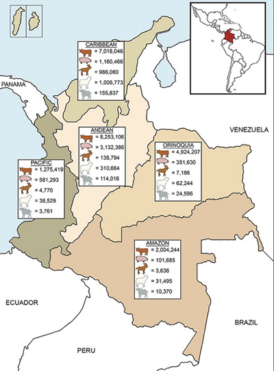 Brucellosis in Colombia