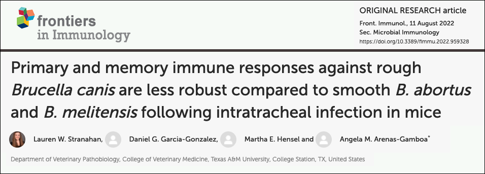 Immune Response in Mice