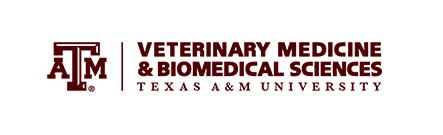 TAMU CVM logo