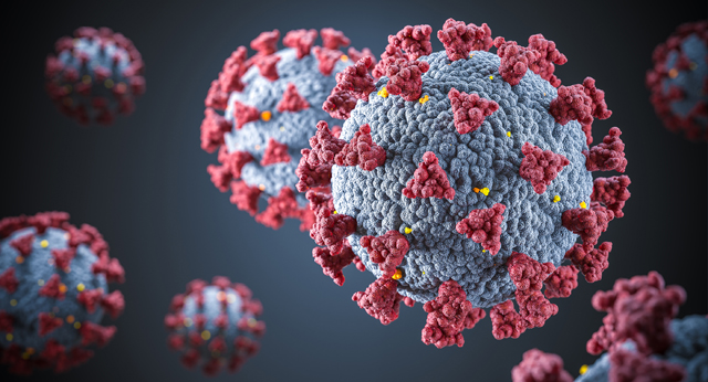 detail of the covid-19 virus. concept of infection and epidemic.