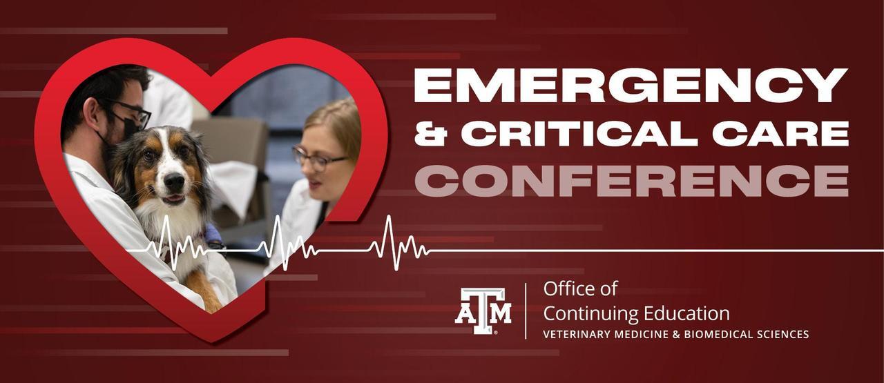 Emergency & Critical Care Conference Veterinary Continuing Education (CE)