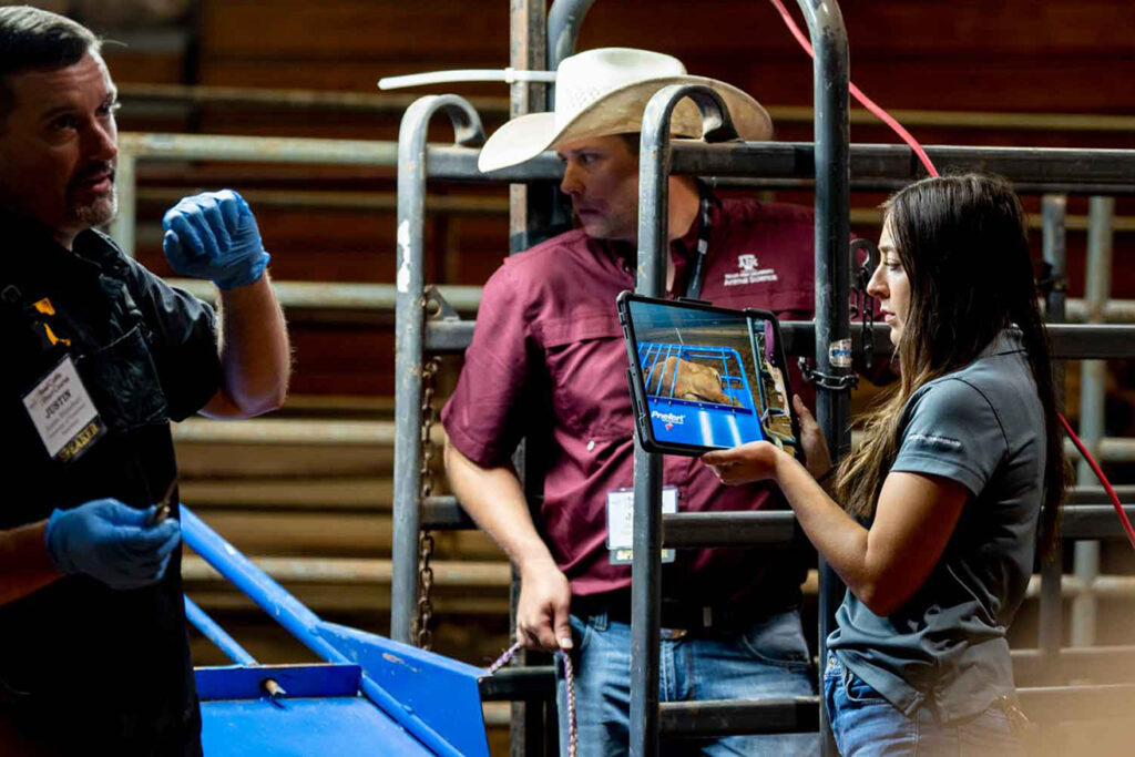 two men and a woman veterinary staff at a rodeo event
