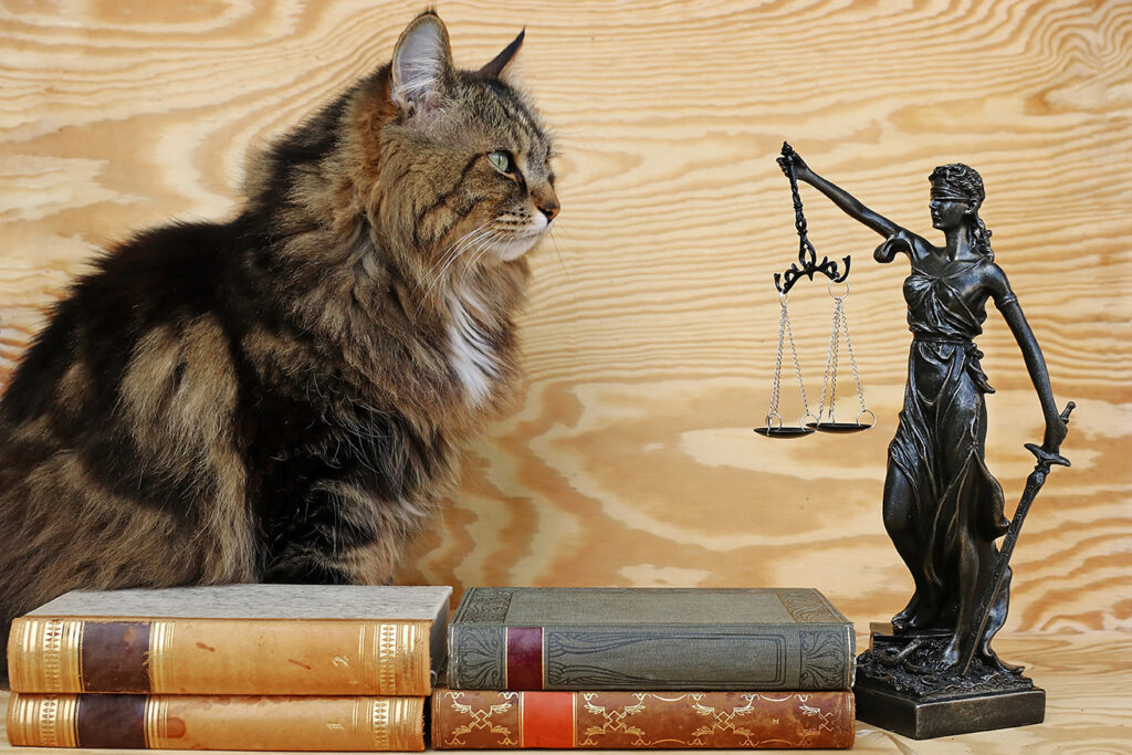 cat next to vintage books and a small statue of a female depiction of Justice with scales and a sword in her hands