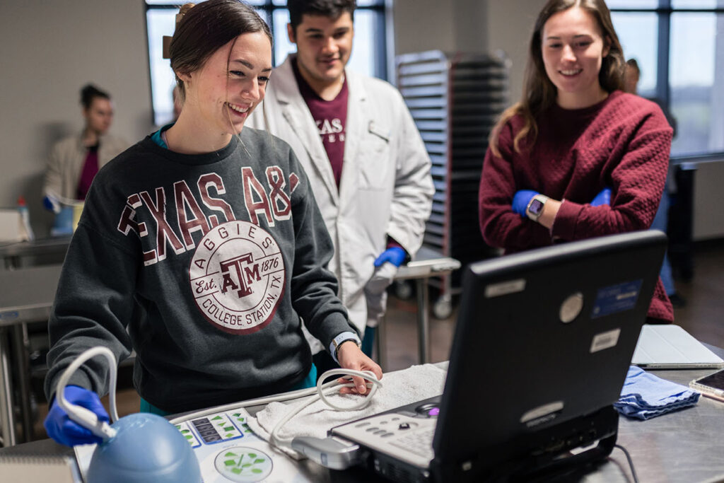 students practice their ultrasound skills on a low-fidelity model