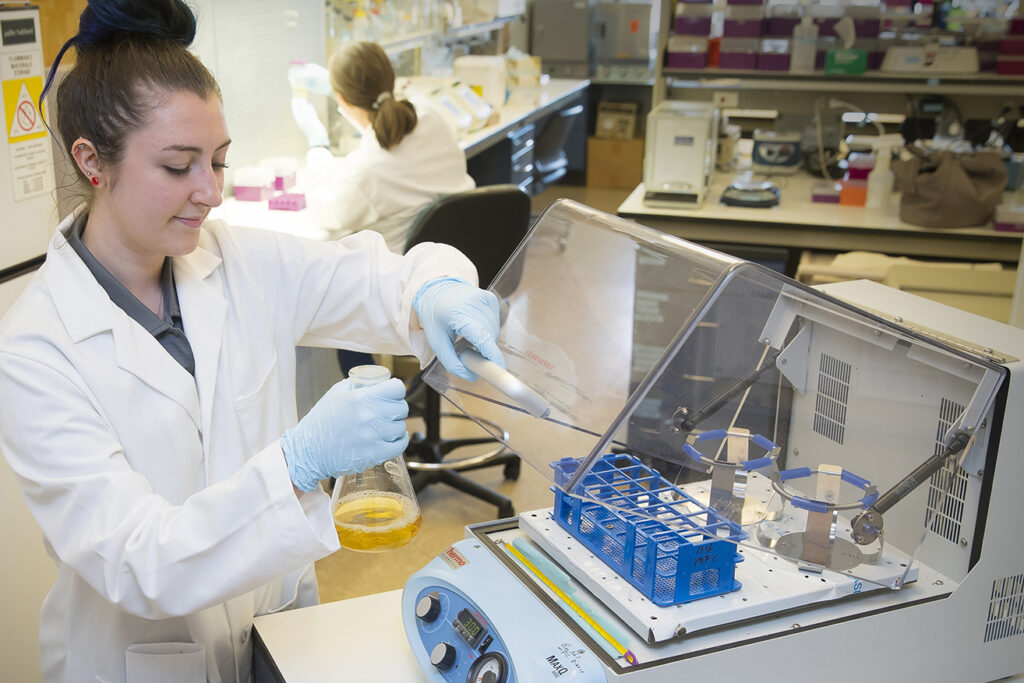 A clinical pathologist performs a test in the lab