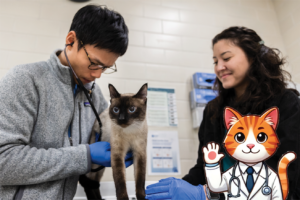 vet and tech examine a cat with a cartoon cat vet in lower corner