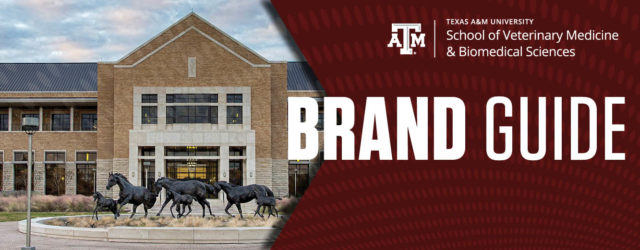 Texas A&M School of Veterinary Medicine & Biomedical Sciences Brand Guide decorative header image with school building photo and school logo