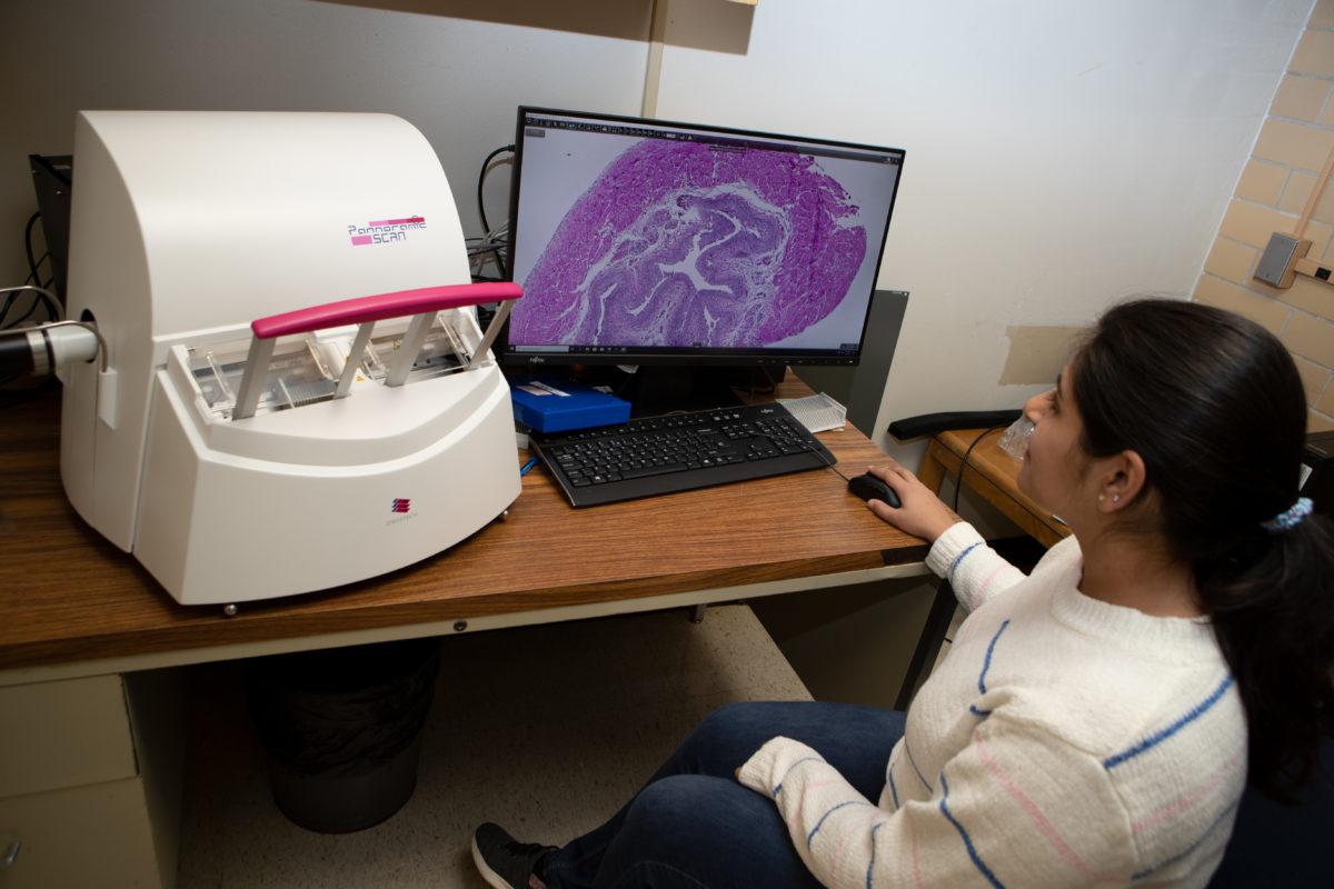 Digital Pathology VMBS Core Histology Lab