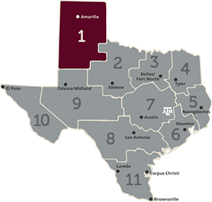 Region 1 area of Texas