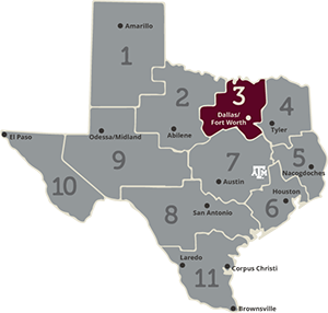 Region 3 area of texas