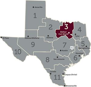 Region 3 area of texas