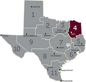 Region 4 area of Texas