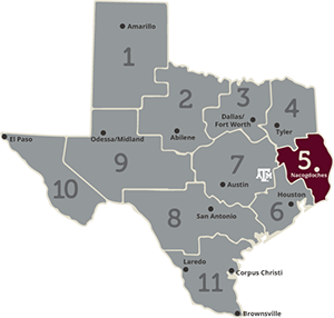 Region 5 area of Texas