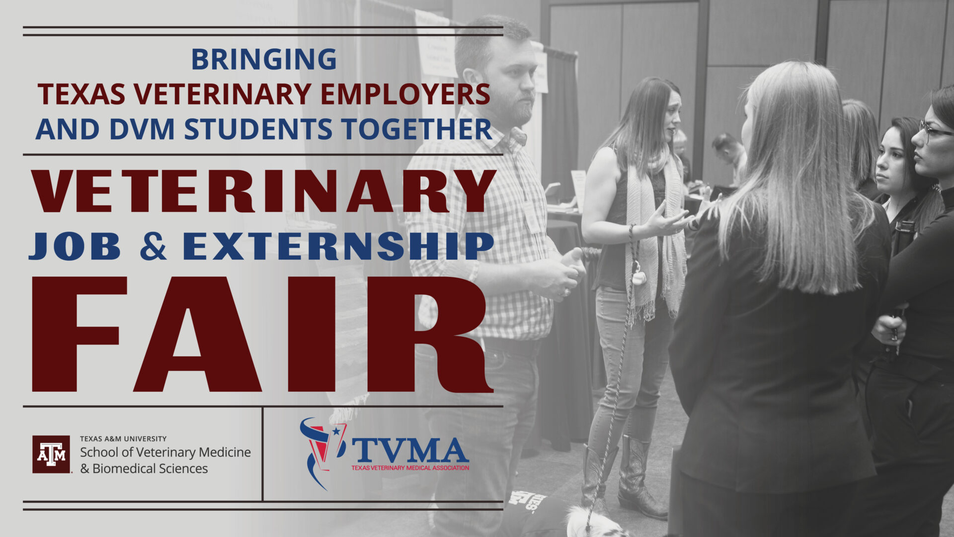 Texas Aandm Veterinary Job And Externship Fair 7048