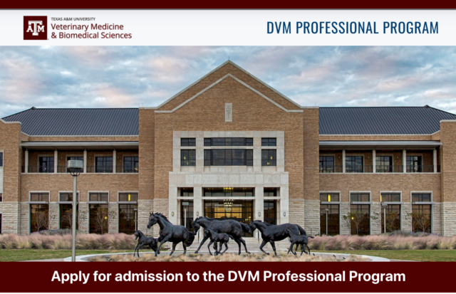 Apply for Admission to DVM Program