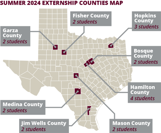 Summer 2024 Externship Counties Map of Texas showing the 8 counties where externs were located during the program