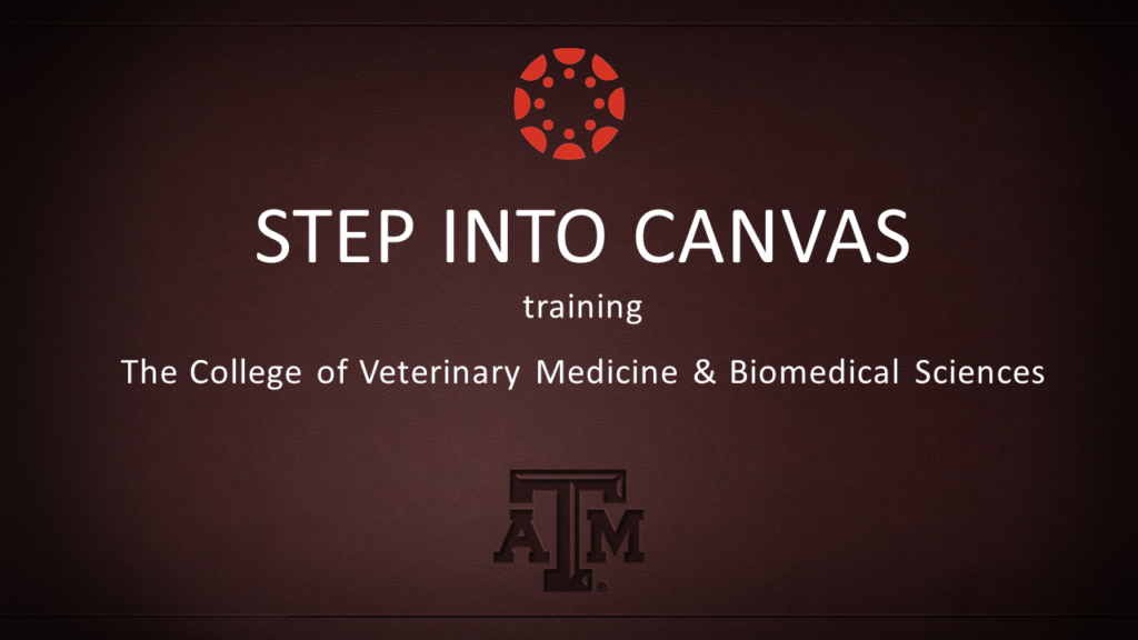 Step Into Canvas Training