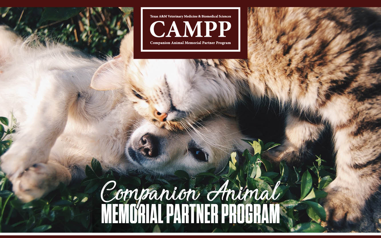 Companion Animal Memorial Partner Program - Giving