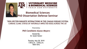 Meyers PhD Dissertation Information Flyer