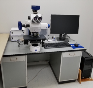 Axio Imager.M2 Motorized Upright Microscope