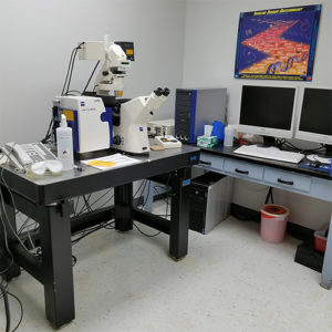 Zeiss 510 META Confocal Microscope