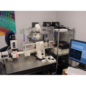 Zeiss Stallion Digital Imaging Workstation