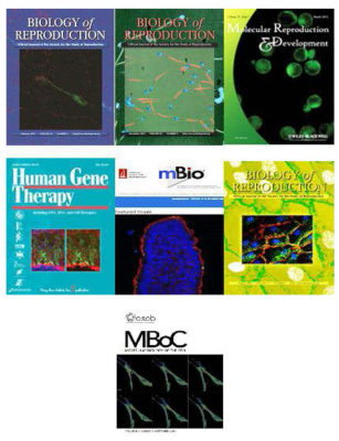 seven publication covers featuring images from the IAL