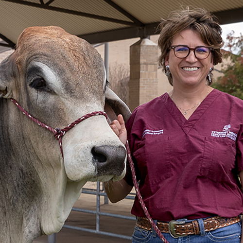 CVM Today - Summer 2015 by Texas A&M School of Veterinary Medicine