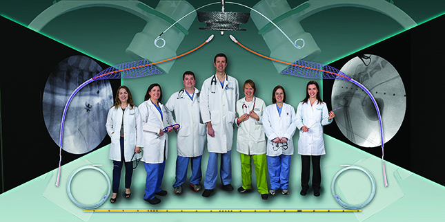 College of Veterinary Medicine & Biomedical Sciences (CVM) Guidewire Group
