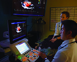 Dr. Jordan Vitt examines an echocardiogram after Newfoundland Rachel's surgery.