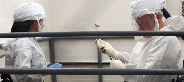 Infectious Diseases and Biodefense Infectious Diseases and Biodefense